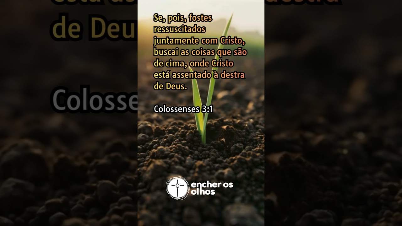 Se, pois, fostes ressuscitados juntamente com Cristo, buscai as coisas que são de cima... Cl 3:1
