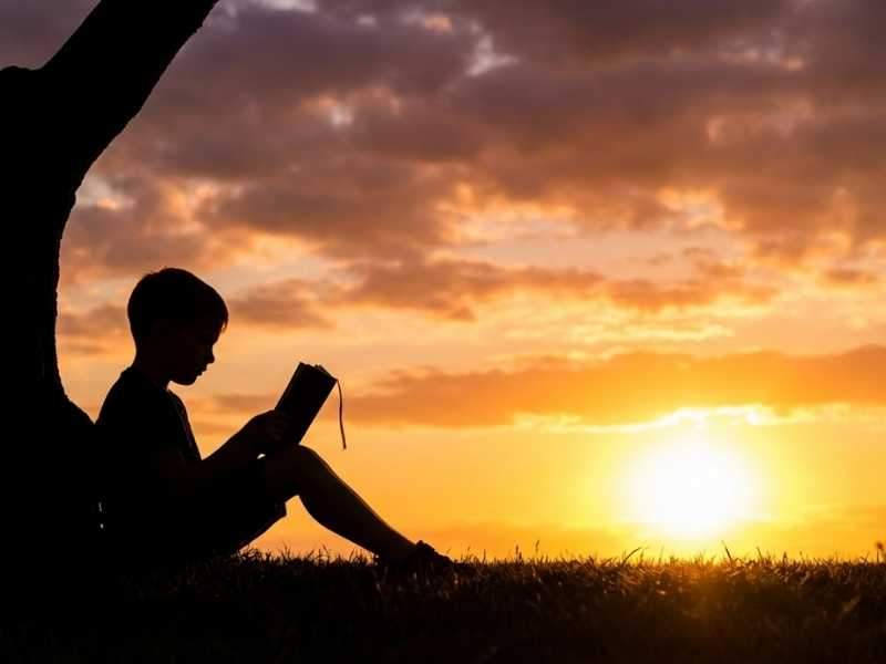 Silhueta de criança sentada sob árvore. Menino lê livro com atenção. Fundo exibe cores vibrantes em tons de laranja e amarelo durante o entardecer. Luz solar destaca contornos das formas escuras.