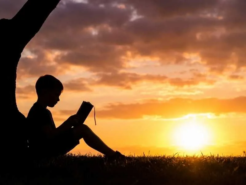 Silhueta de criança sentada sob árvore. Menino lê livro com atenção. Fundo exibe cores vibrantes em tons de laranja e amarelo durante o entardecer. Luz solar destaca contornos das formas escuras.